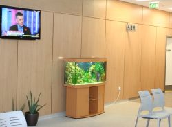 TV and Fish Tank cropped