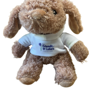 The Friends of St Luke’s Bunny