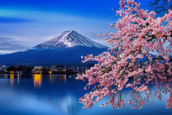 Japan Walk 2026